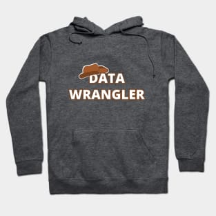 Data Wrangler Hoodie